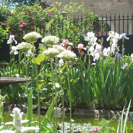 Le Ragois Bed & Breakfast ริเชลิเยอ ภายนอก รูปภาพ