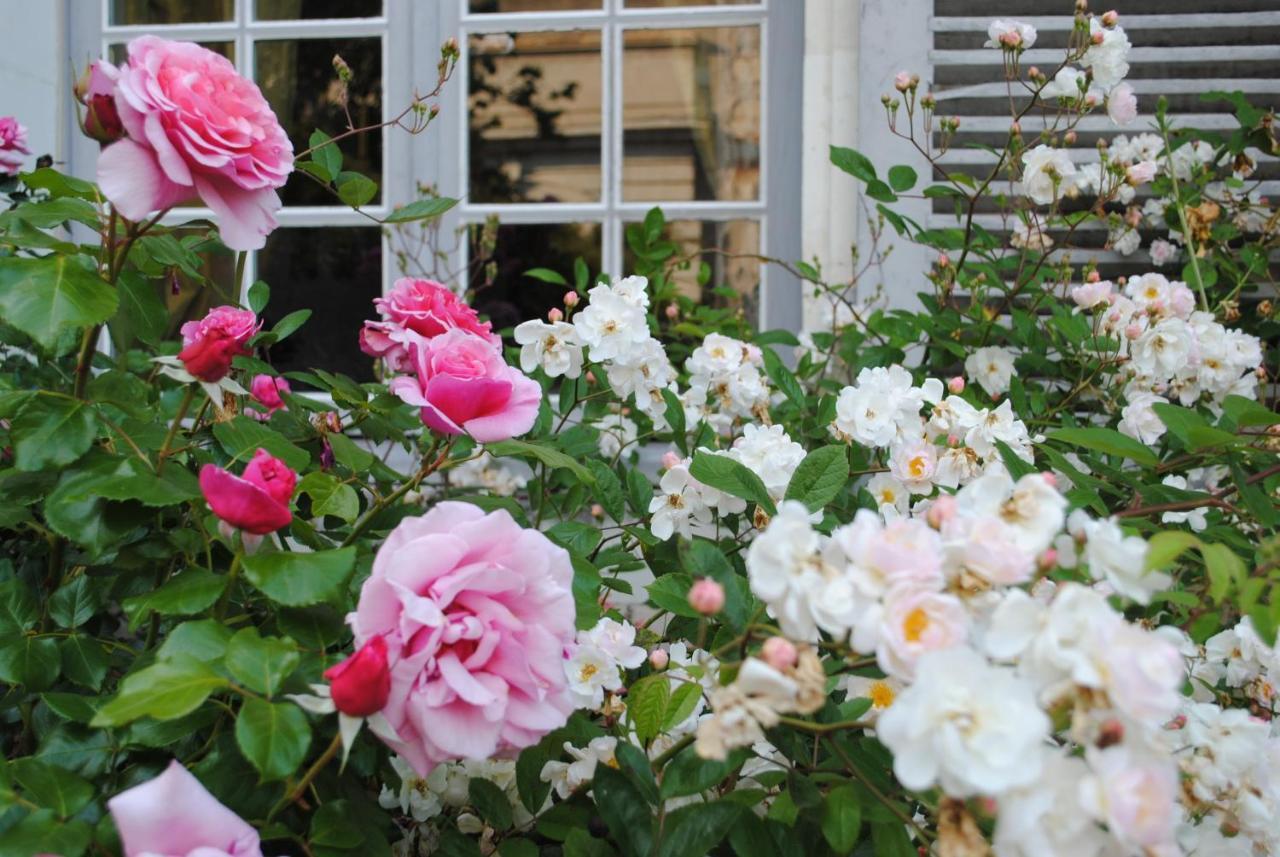 Le Ragois Bed & Breakfast ริเชลิเยอ ภายนอก รูปภาพ