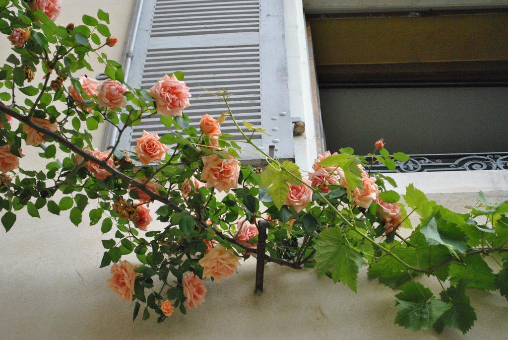 Le Ragois Bed & Breakfast ริเชลิเยอ ภายนอก รูปภาพ