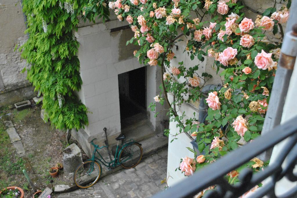 Le Ragois Bed & Breakfast ริเชลิเยอ ภายนอก รูปภาพ