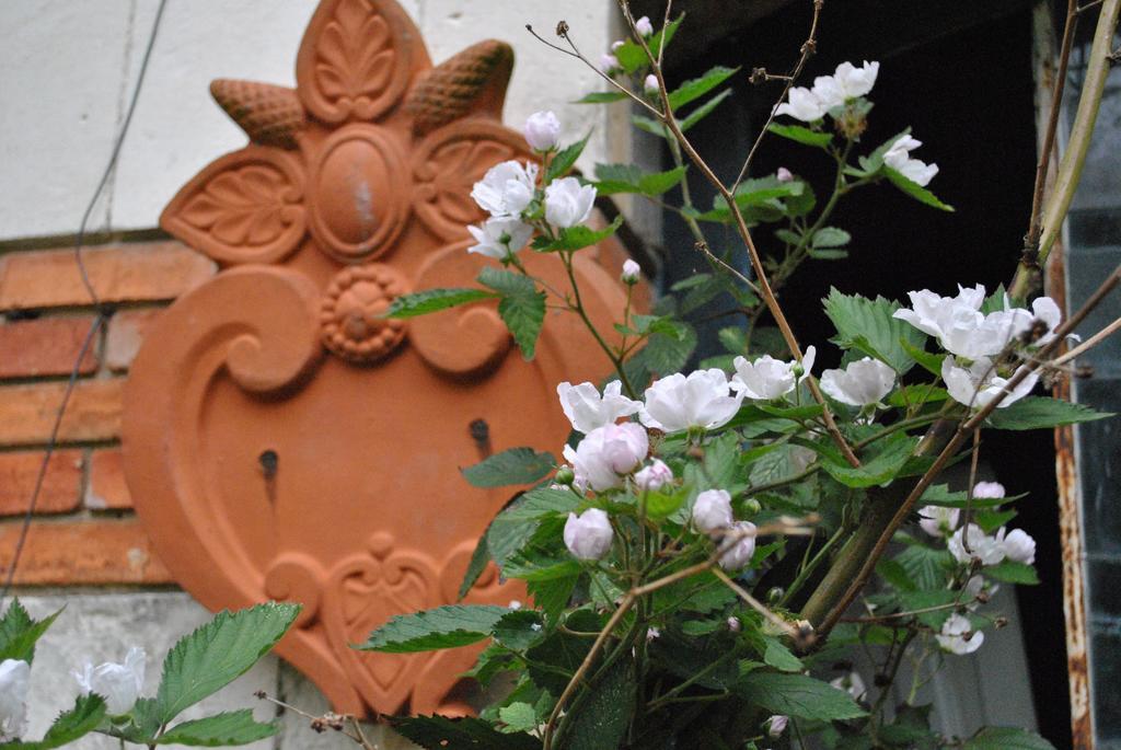 Le Ragois Bed & Breakfast ริเชลิเยอ ภายนอก รูปภาพ