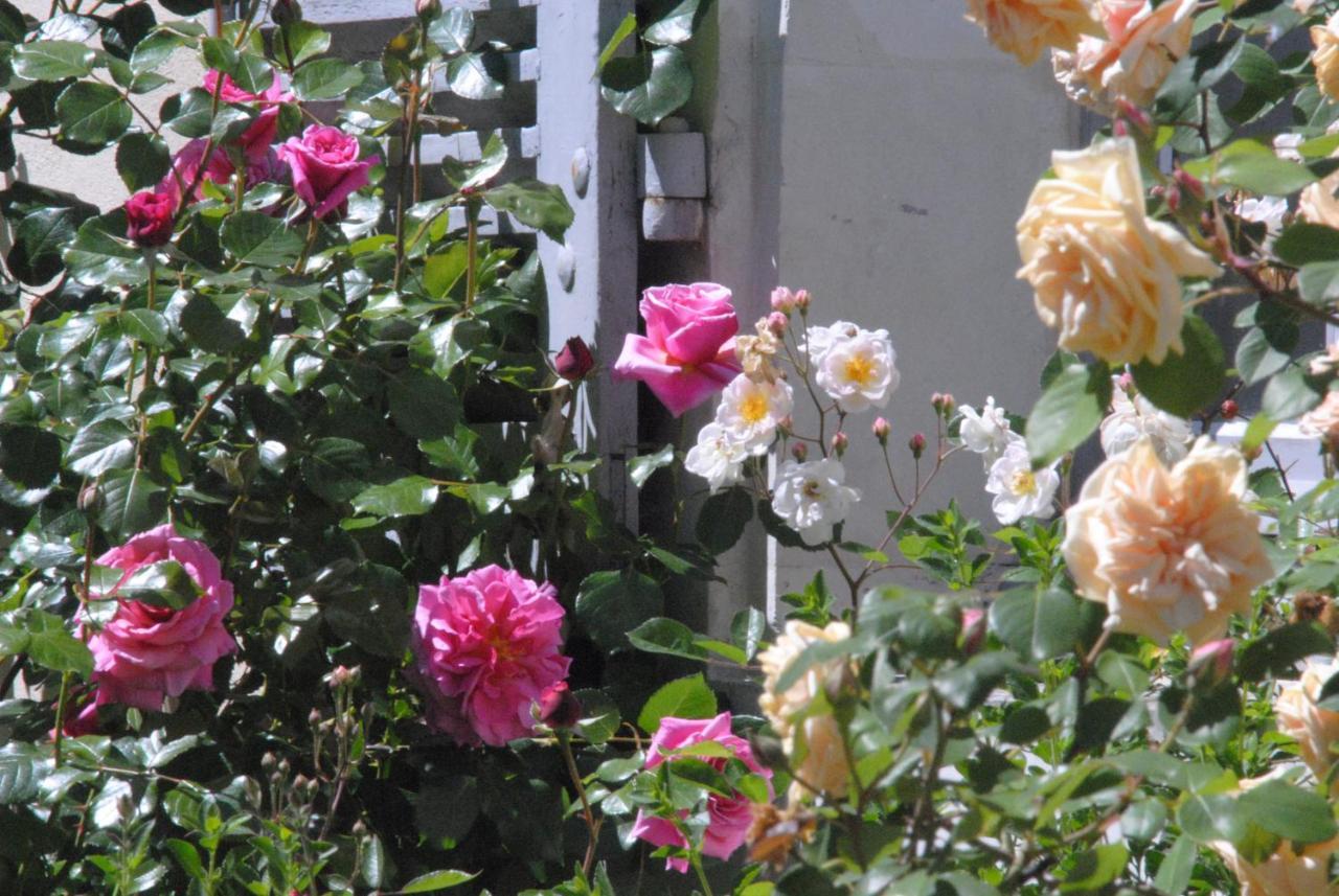 Le Ragois Bed & Breakfast ริเชลิเยอ ภายนอก รูปภาพ